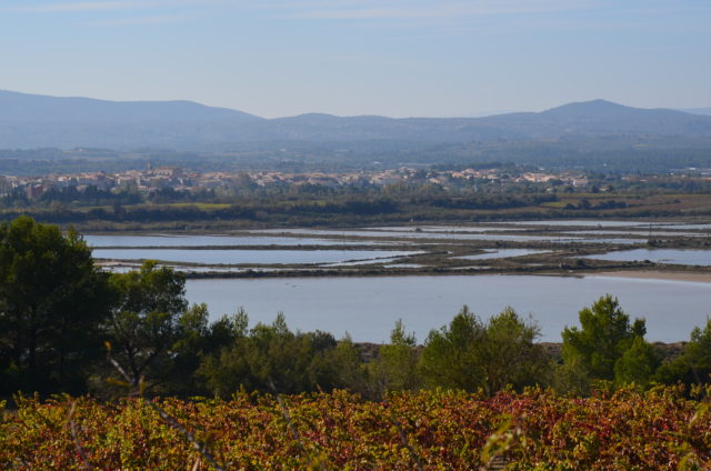 Paysage Sigean - Crédit PNRNM