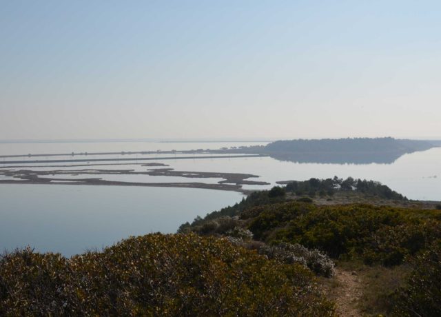 Paysage ileAute