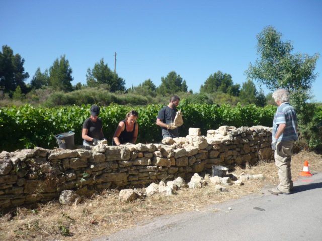 RD6009 muret