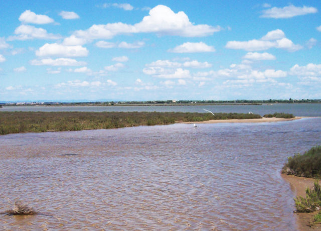 Etang de Pissevaches ©PNRNM